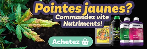 Engrais Cannabis Croissance | Plagron, BAC et Advanced Nutrients.