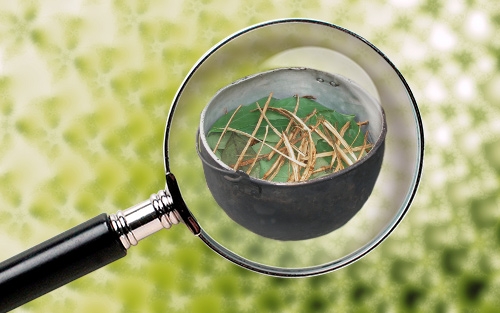 Microdosage Partie 2: Le microdosage de l'Ayahuasca, est-ce possible?