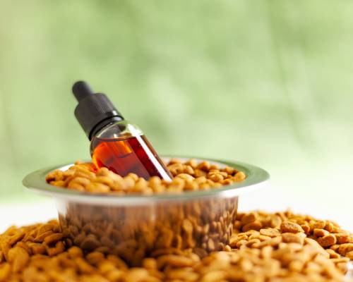 Huile de CBD pour Chien, Chat ou autre Animal
